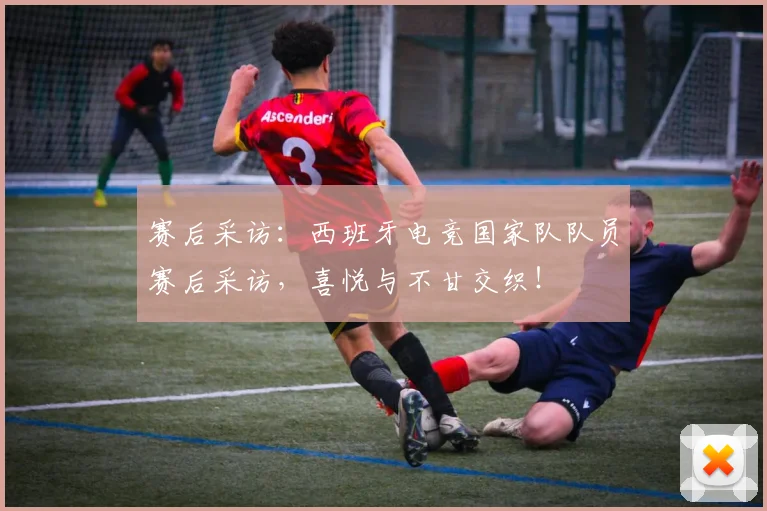 赛后采访：西班牙电竞国家队队员赛后采访，喜悦与不甘交织！