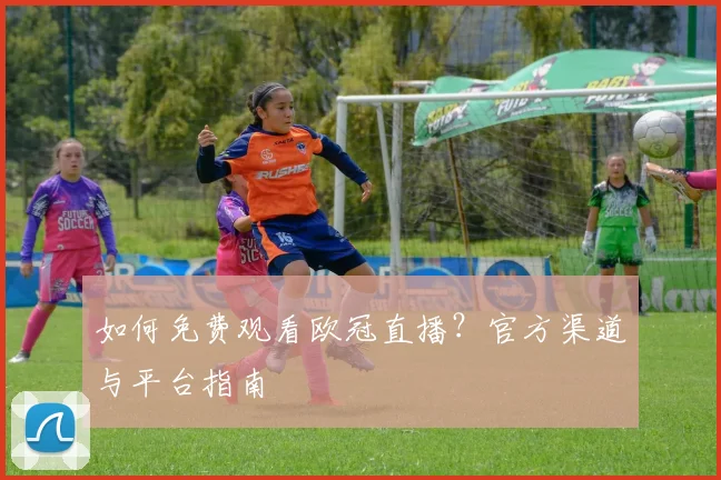 如何免费观看欧冠直播？官方渠道与平台指南