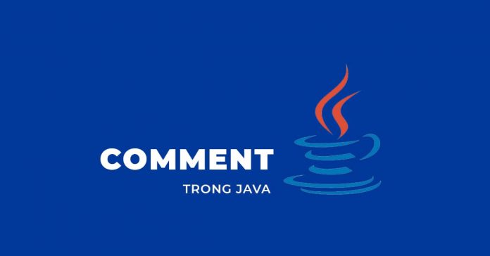 Comment trong Java